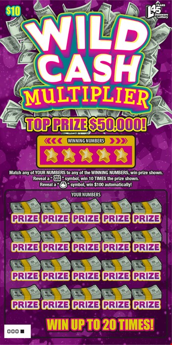 WILD CASH MULTIPLIER